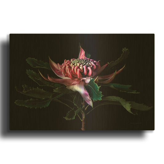 'Salmon Waratah I' By Elise Catterall Gold Metal Wall Art