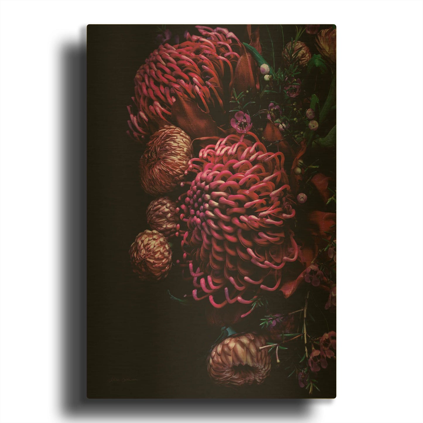 'Waratah Bouquet' By Elise Catterall Gold Metal Wall Art