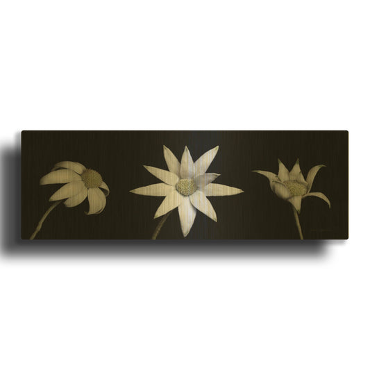'Flannel Flower Trio' By Elise Catterall Gold Metal Wall Art