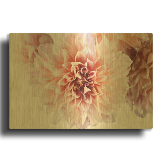 'Peach Dahlias Light' By Elise Catterall Gold Metal Wall Art