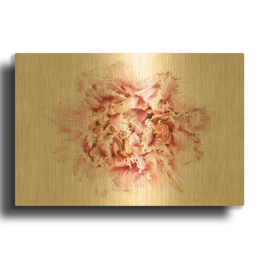 'Pink Fringed Tulip' By Elise Catterall Gold Metal Wall Art