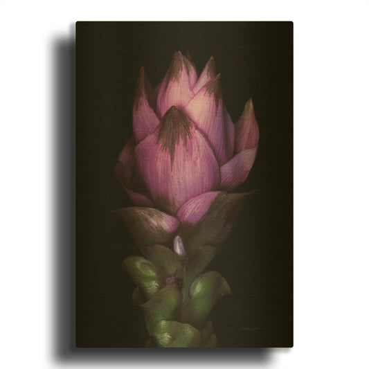 'Siam Tulip' By Elise Catterall Gold Metal Wall Art