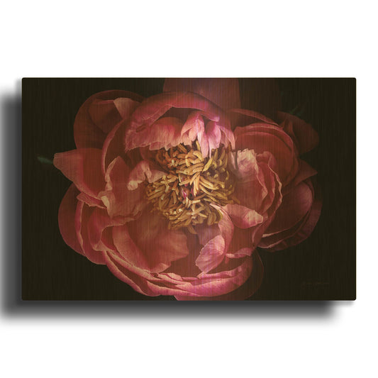 'Coral Peony' By Elise Catterall Gold Metal Wall Art