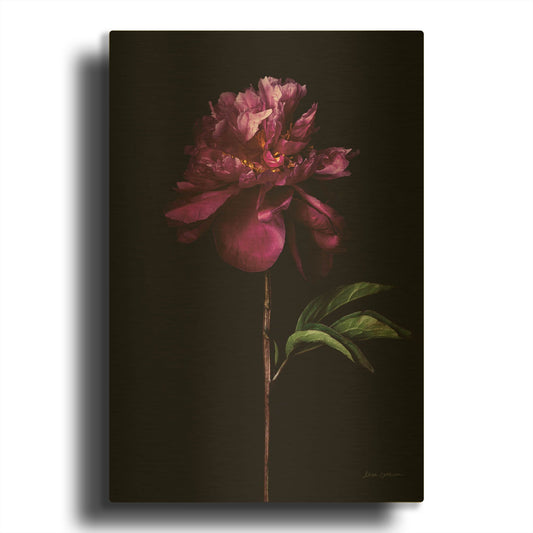 'Peony Portrait' By Elise Catterall Gold Metal Wall Art