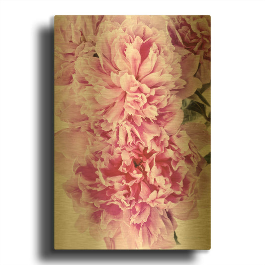 'Pink Peony Cluster' By Elise Catterall Gold Metal Wall Art