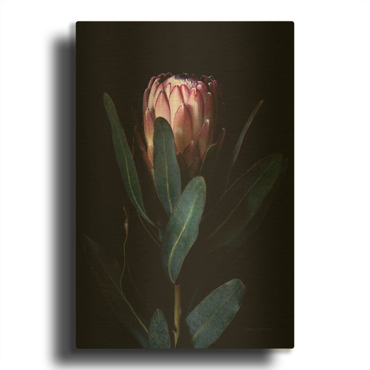 'Protea Portrait' By Elise Catterall Gold Metal Wall Art