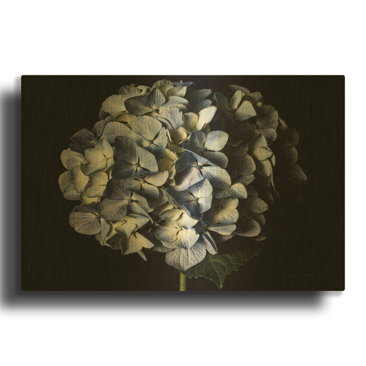 'Pale Blue Hydrangea' By Elise Catterall Gold Metal Wall Art