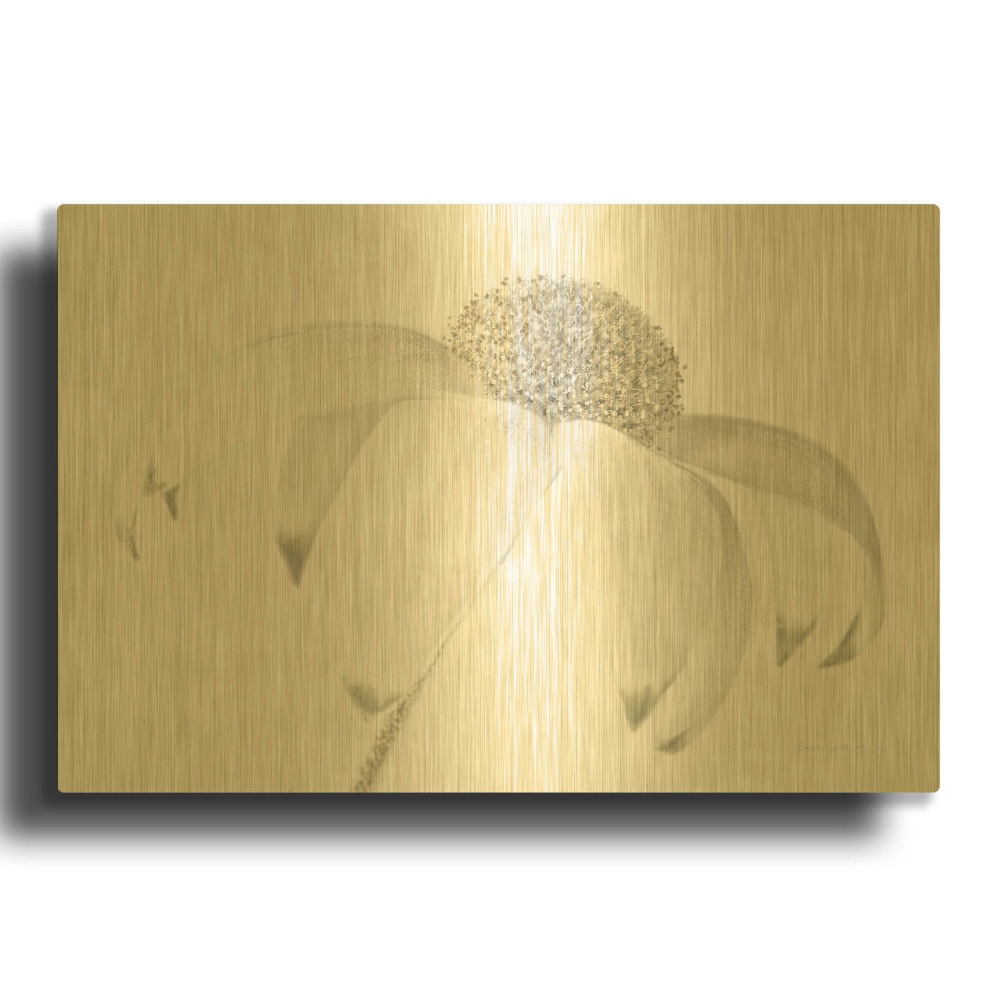 'Flannel Flower Neutral' By Elise Catterall Gold Metal Wall Art