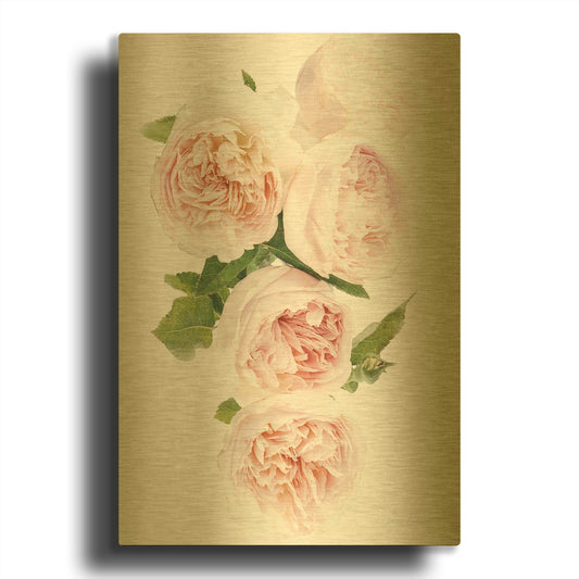 'David Austin Cascade' By Elise Catterall Gold Metal Wall Art