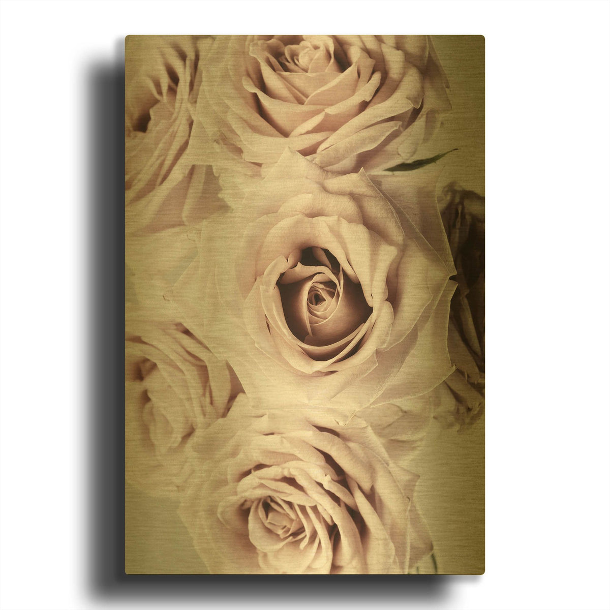 'Dusty Rose Cluster' By Elise Catterall Gold Metal Wall Art