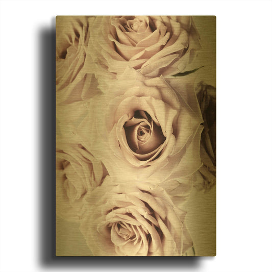 'Dusty Rose Cluster' By Elise Catterall Gold Metal Wall Art