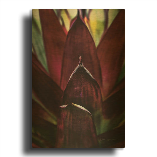 'Succulent Detail I' By Elise Catterall Gold Metal Wall Art