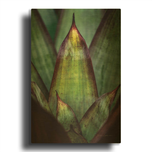 'Succulent Detail II' By Elise Catterall Gold Metal Wall Art