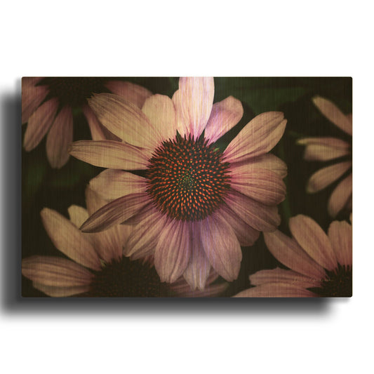 'Echinacea' By Elise Catterall Gold Metal Wall Art