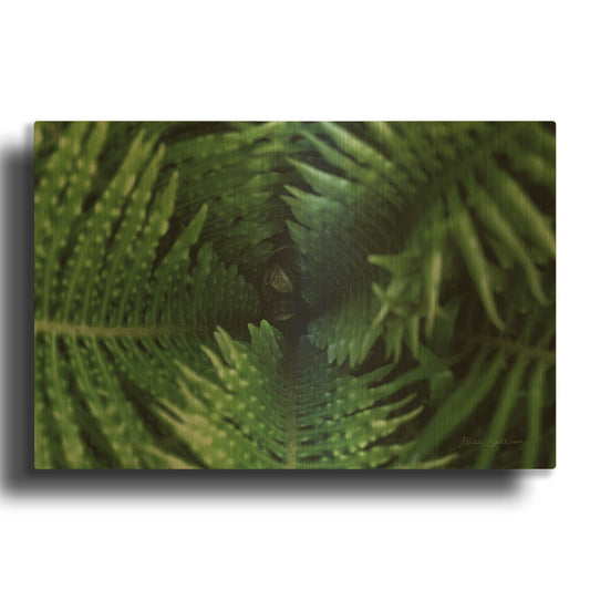 'Fern Detail' By Elise Catterall Gold Metal Wall Art