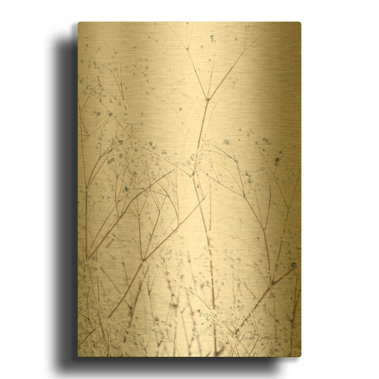 'Gypsophila' By Elise Catterall Gold Metal Wall Art