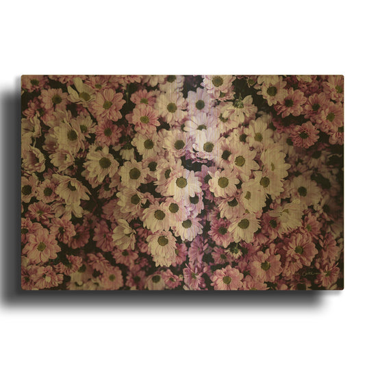 'Pale Daisies' By Elise Catterall Gold Metal Wall Art