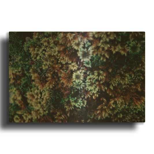 'Moss Detail' By Elise Catterall Gold Metal Wall Art