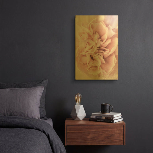 'Pink Carnation Crop' By Elise Catterall Gold Metal Wall Art