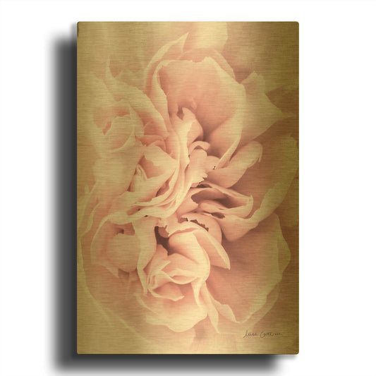 'Pink Carnation Crop' By Elise Catterall Gold Metal Wall Art