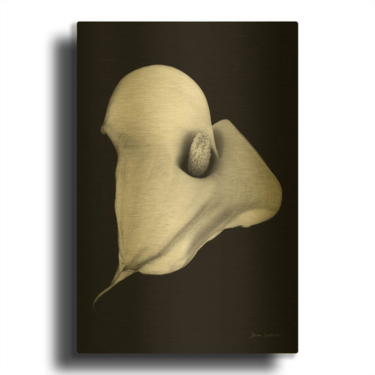 'Elegant Calla III' By Elise Catterall Gold Metal Wall Art