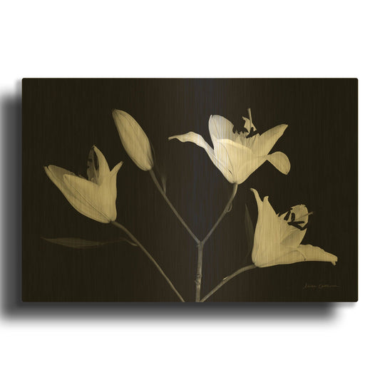 'Spray of Lilies' By Elise Catterall Gold Metal Wall Art