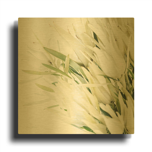 'Leucadendron Oasis Crop' By Elise Catterall Gold Metal Wall Art