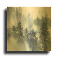 'Misty Forest I' By Katrina Pete Gold Metal Wall Art