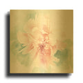 'Poetic Blooming II Pink' By Katrina Pete Gold Metal Wall Art