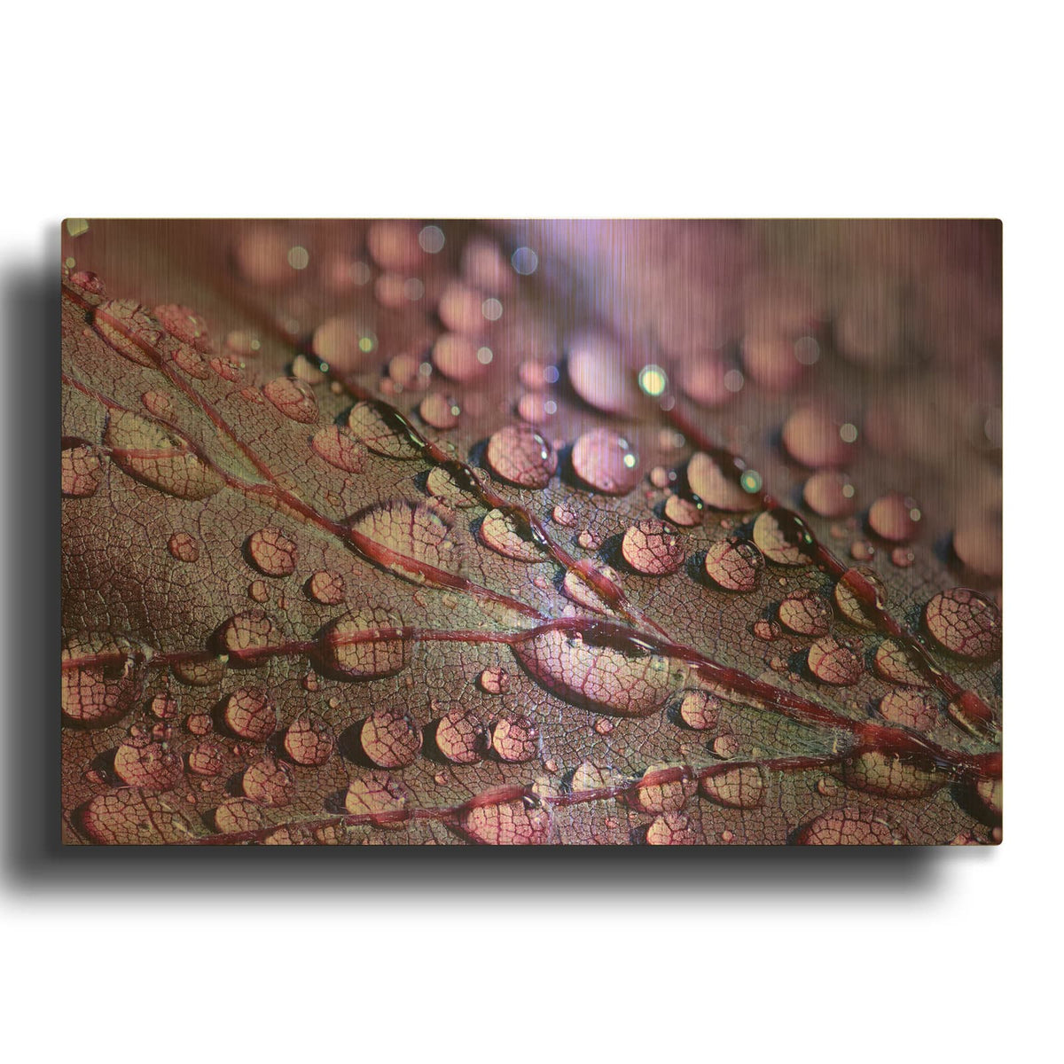 'Dewdrops' By NASA Space Photos Gold Metal Wall Art