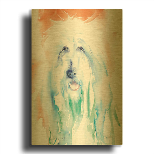 'Sheep Dog' By Alan Majchrowicz Gold Metal Wall Art