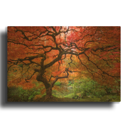 'Japenese Maple' By Jesse Estes Gold Metal Wall Art