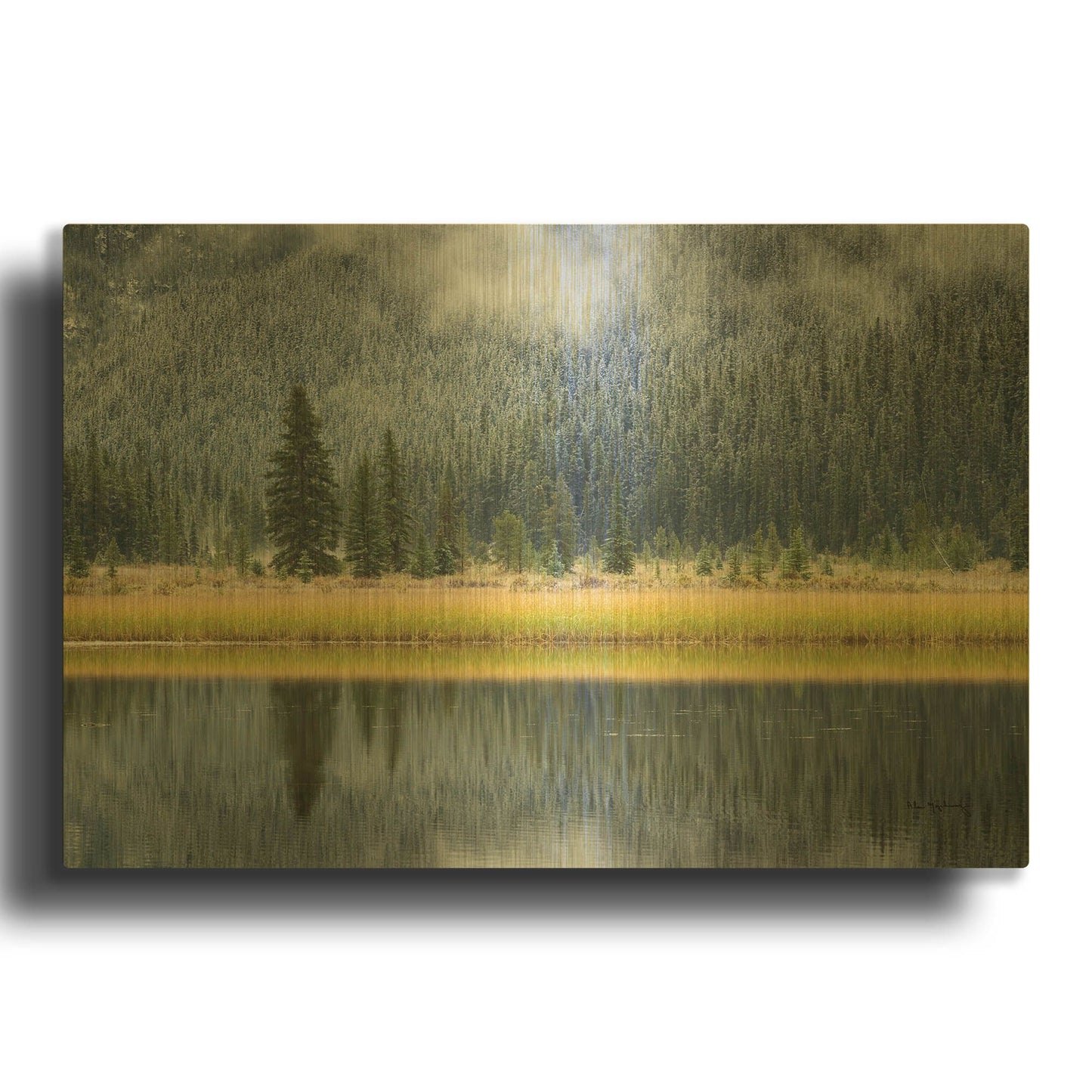 'Waterfowl Lake II' By Alan Majchrowicz Gold Metal Wall Art