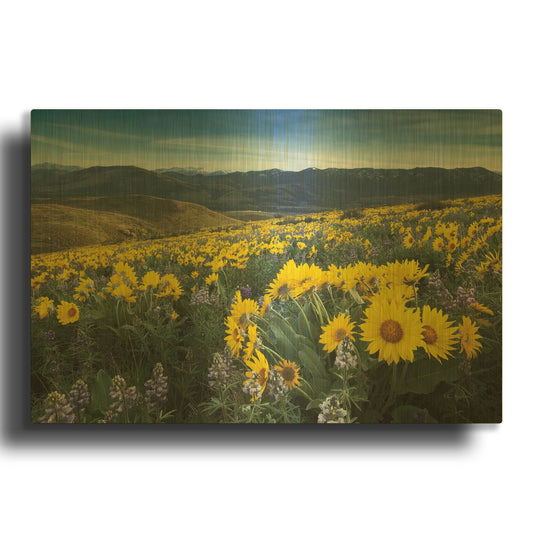 'Methow Valley Wildflowers IV' By Alan Majchrowicz Gold Metal Wall Art