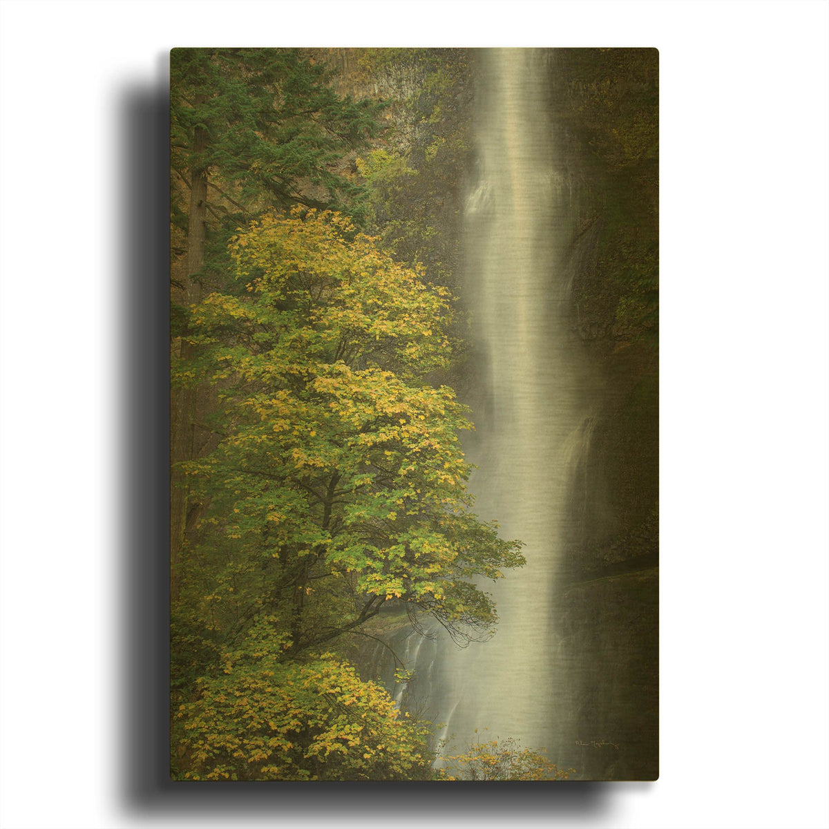 'Multnomah Falls color' By Alan Majchrowicz Gold Metal Wall Art