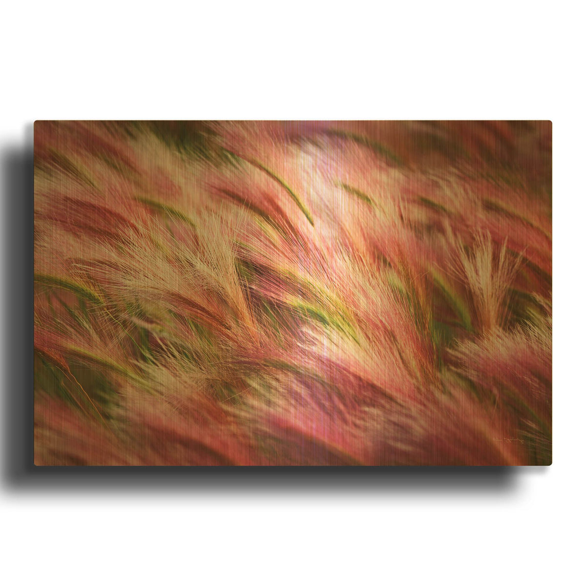 'Foxtail Barley II' By Alan Majchrowicz Gold Metal Wall Art