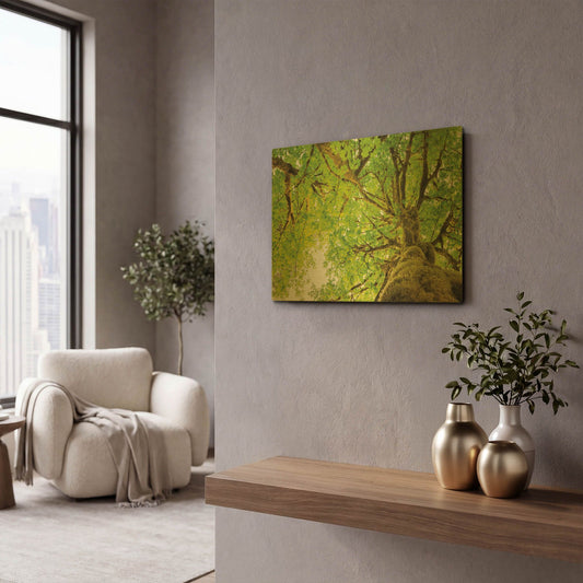 'Big Leaf Maple Trees II' By Alan Majchrowicz Gold Metal Wall Art
