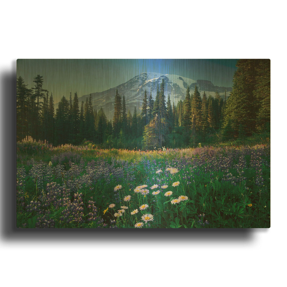 'Mount Rainier' By Alan Majchrowicz Gold Metal Wall Art