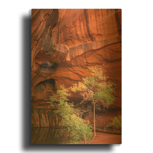 'Neon Canyon III' By Alan Majchrowicz Gold Metal Wall Art