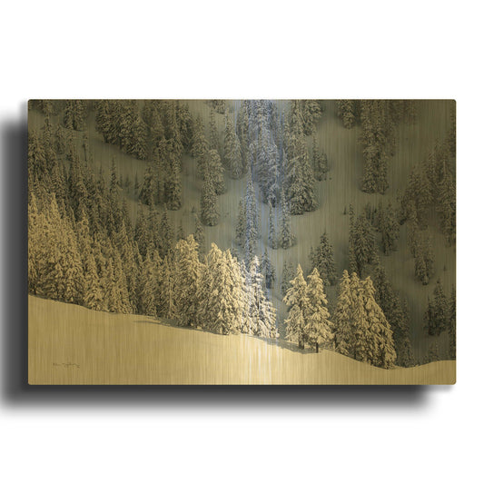 'North Cascades in Winter III' By Alan Majchrowicz Gold Metal Wall Art