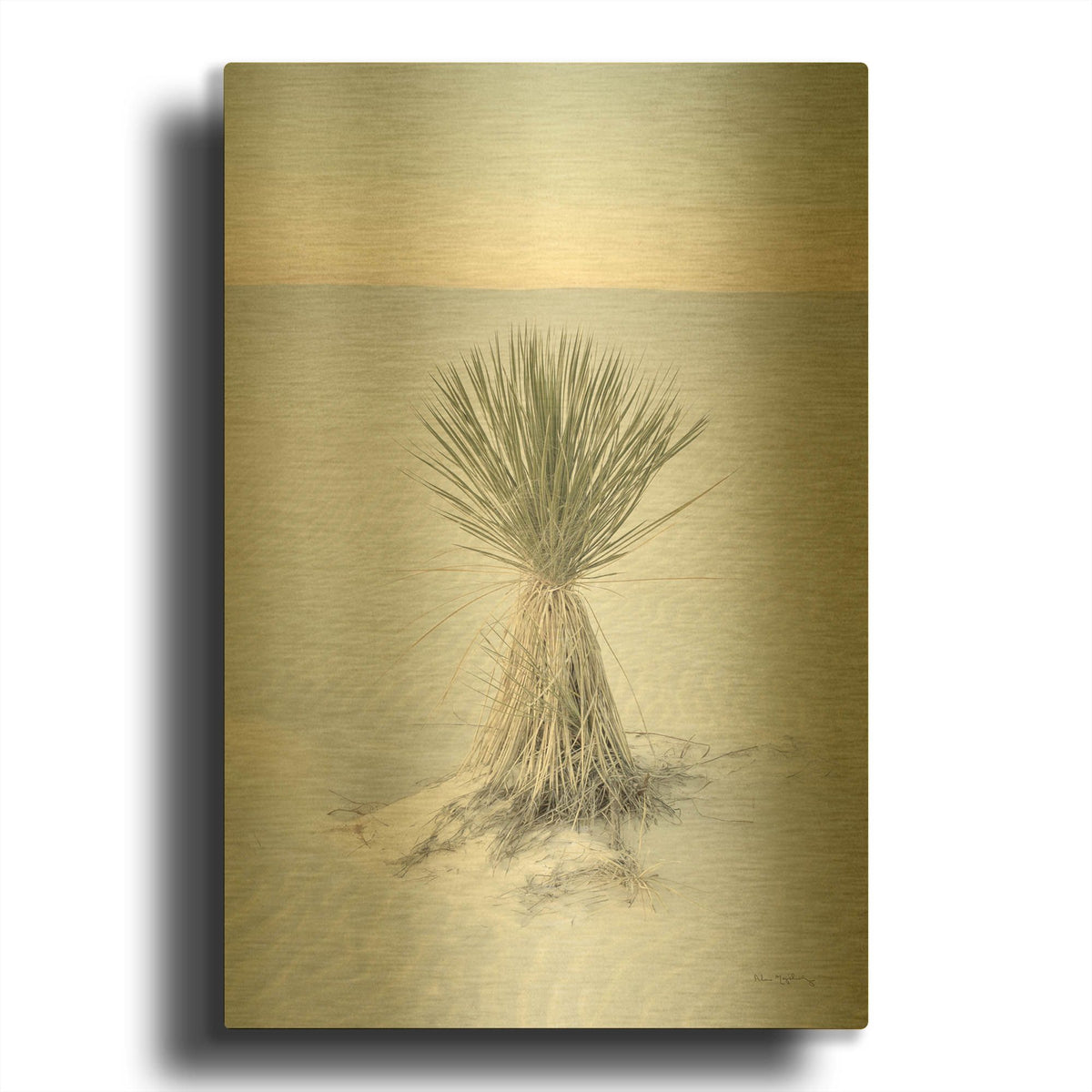 'Yucca in White Sands National Monument' By Alan Majchrowicz Gold Metal Wall Art