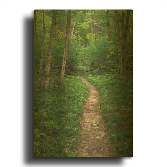 'North Country Trail' By Alan Majchrowicz Gold Metal Wall Art