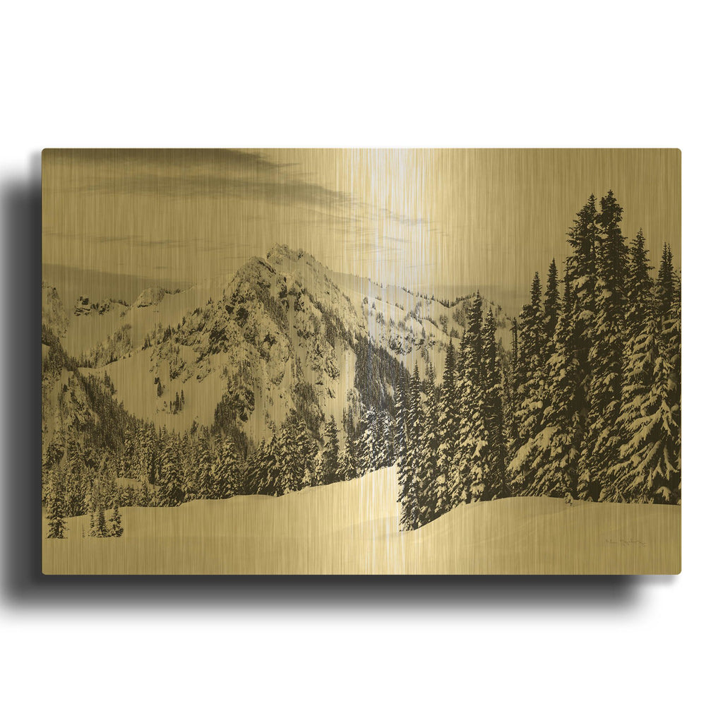 'Tatoosh Range BW' By Alan Majchrowicz Gold Metal Wall Art