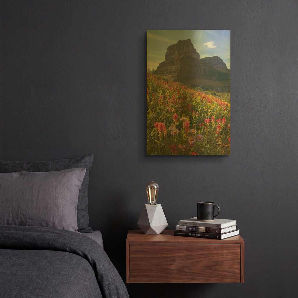 'Boulder Pass Wildflowers' By Alan Majchrowicz Gold Metal Wall Art
