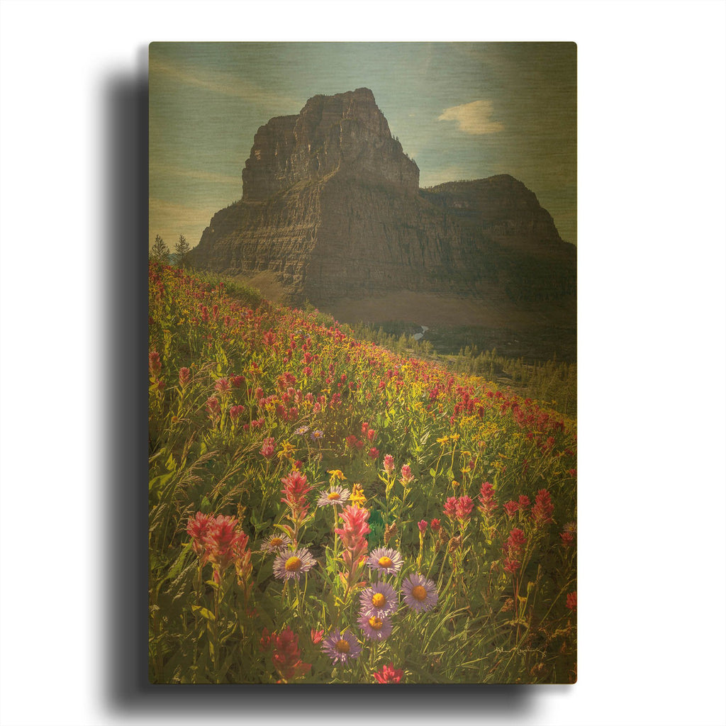 'Boulder Pass Wildflowers' By Alan Majchrowicz Gold Metal Wall Art