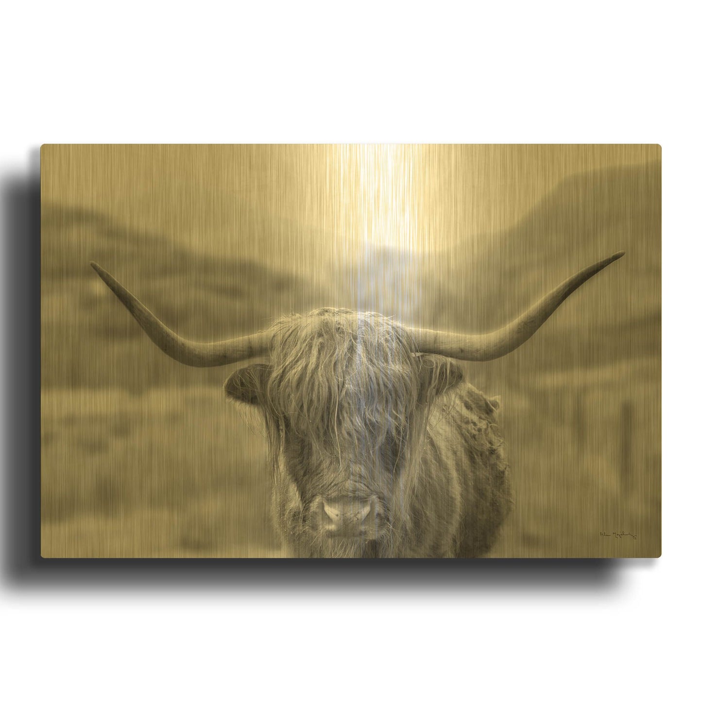 'Scottish Highland Cattle III Neutral Crop' By Alan Majchrowicz Gold Metal Wall Art