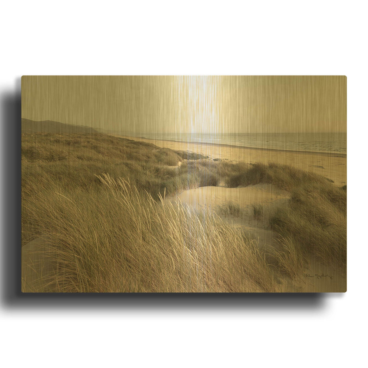 'Oregon Dunes' By Alan Majchrowicz Gold Metal Wall Art