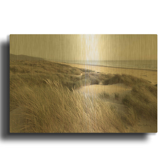'Oregon Dunes' By Alan Majchrowicz Gold Metal Wall Art