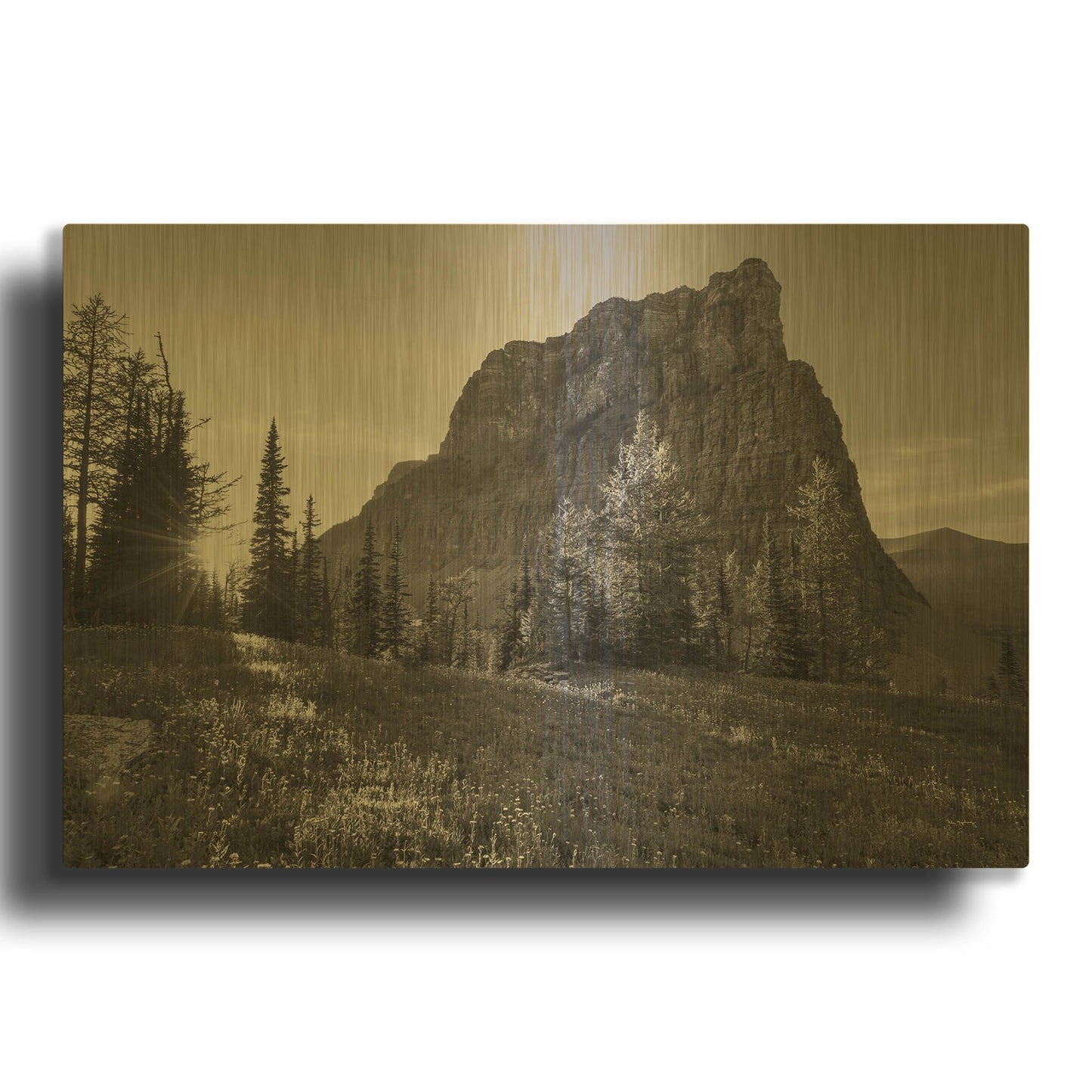 'Boulder Pass Glacier National Park BW' By Alan Majchrowicz Gold Metal Wall Art