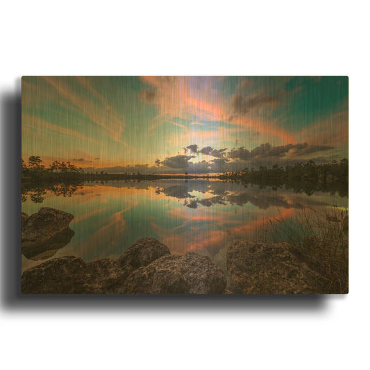 'Everglades' By Edin Chavez Gold Metal Wall Art